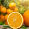Vitamin C for Heart Health: Boosting Immunity and Vessels