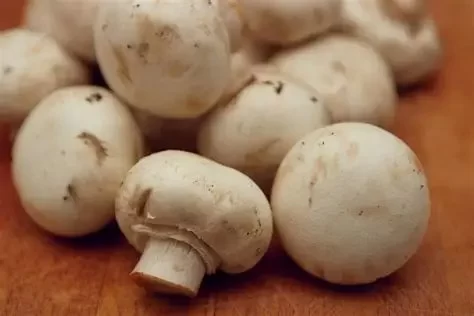 Mushrooms for Immune Support and Lowering Cholesterol