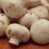 Mushrooms for Immune Support and Lowering Cholesterol