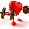 The Legacy of a Healthy Heart: How to Build Cardiovascular Wellness for You and Future Generations