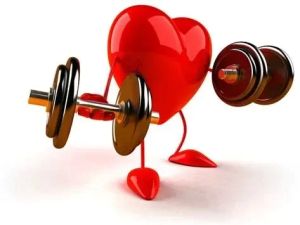 The Legacy of a Healthy Heart: How to Build Cardiovascular Wellness for You and Future Generations