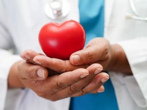 The Science of a Healthy Heart: What You Need to Know
