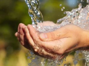 The Importance of Clean Water for Overall Health