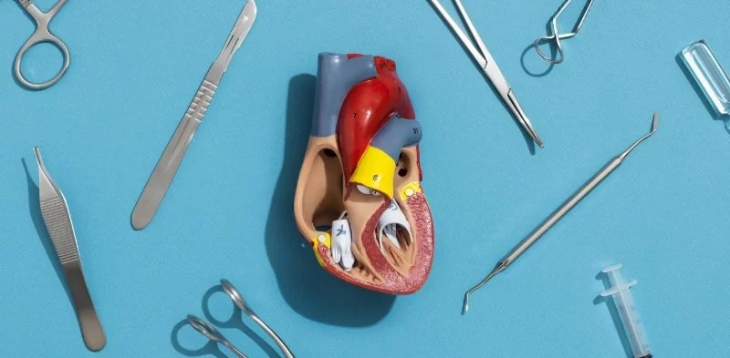 Understanding Your Heart's Electrical System: Arrhythmias Explained