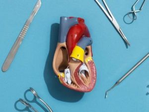 Understanding Your Heart's Electrical System: Arrhythmias Explained