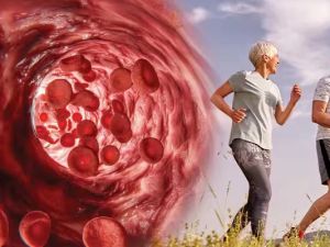 Arginine for Nitric Oxide Production and Improved Blood Flow