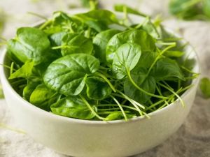Leafy Green Vegetables: Nutrient Powerhouses That Boost Your Health