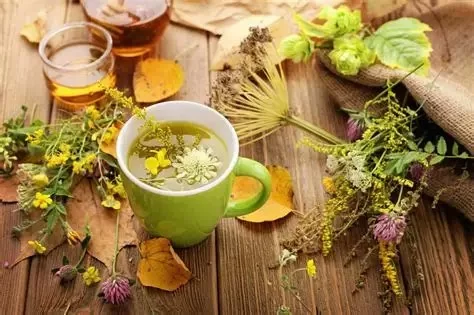 Herbal Medicine: Natural Support for Your Heart