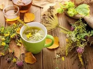 Herbal Medicine: Natural Support for Your Heart