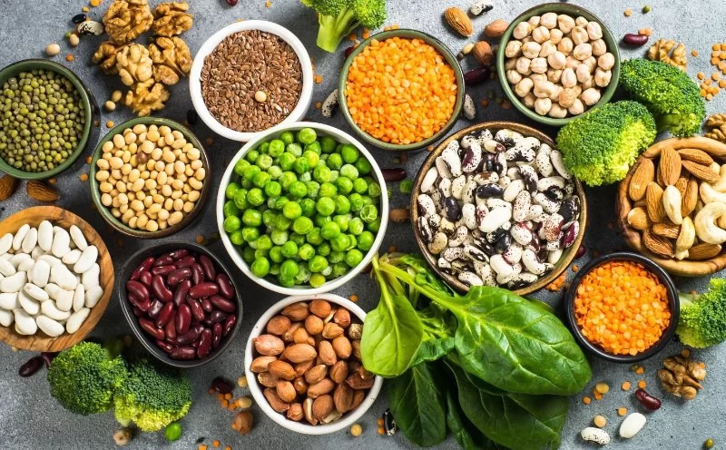 Protein Sources for a Heart-Healthy Diet: Plant vs. Animal