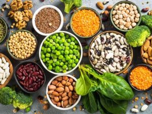 Protein Sources for a Heart-Healthy Diet: Plant vs. Animal