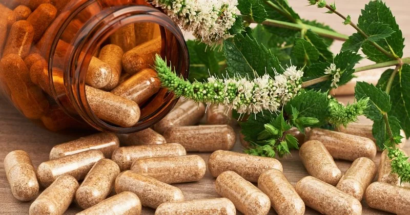 Herbal Remedies for Sleep and Stress Management