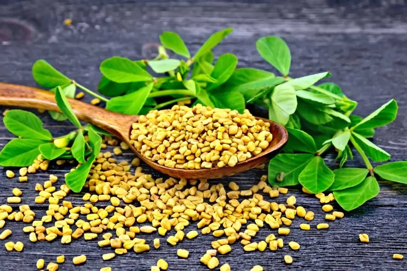 Fenugreek for Cholesterol and Blood Sugar: Natural Support for Heart Health