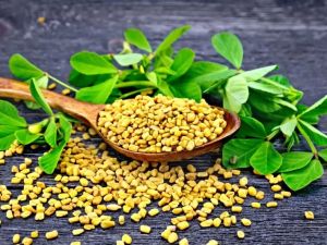 Fenugreek for Cholesterol and Blood Sugar: Natural Support for Heart Health