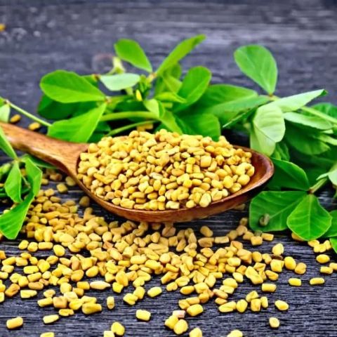 Fenugreek for Cholesterol and Blood Sugar: Natural Support for Heart Health