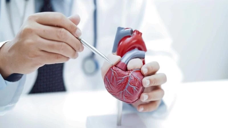 Innovative Treatments for Complex Heart Conditions with Expert Insights