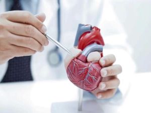 Innovative Treatments for Complex Heart Conditions with Expert Insights