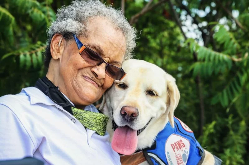 Pet Therapy for Cardiovascular Patients: The Comforting Presence of Animals