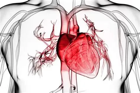 Pericarditis: Inflammation Around the Heart Explained