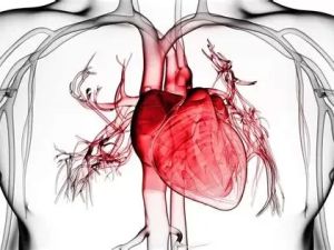 Pericarditis: Inflammation Around the Heart Explained