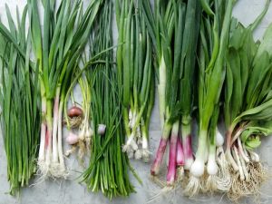 Allium Vegetables: Onions, Garlic, Leeks for Heart Health