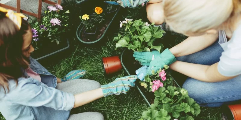 Horticulture Therapy: Gardening for a Healthy Heart