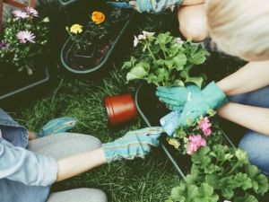 Horticulture Therapy: Gardening for a Healthy Heart