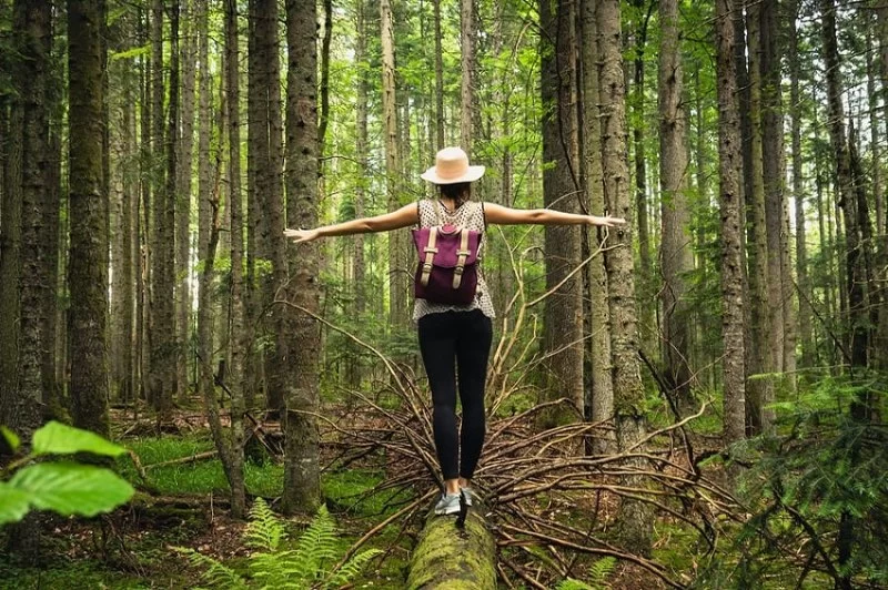 Connecting with Nature for Stress Relief and Rejuvenation