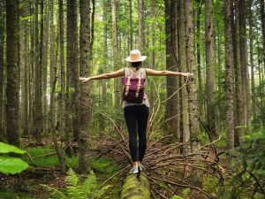 Connecting with Nature for Stress Relief and Rejuvenation