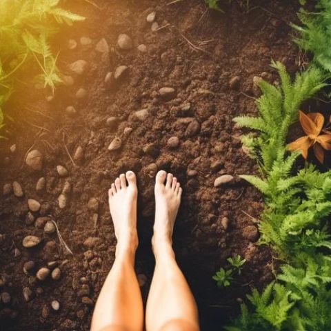 The Benefits of Earthing or Grounding for Cardiovascular Well-being