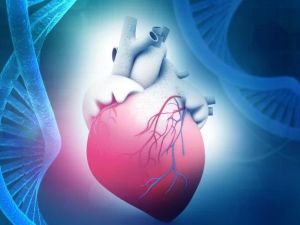 The Promise of Gene Editing for Genetic Heart Diseases