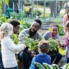 The Role of Community Gardens in Promoting Heart-Healthy Eating