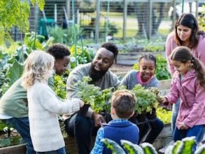 The Role of Community Gardens in Promoting Heart-Healthy Eating