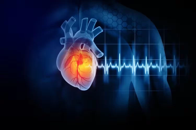 Heart Attacks: What Happens and How to Respond