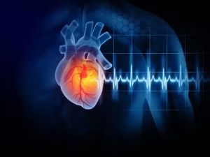 Heart Attacks: What Happens and How to Respond