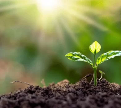 Cultivating a Growth Mindset for Heart Health