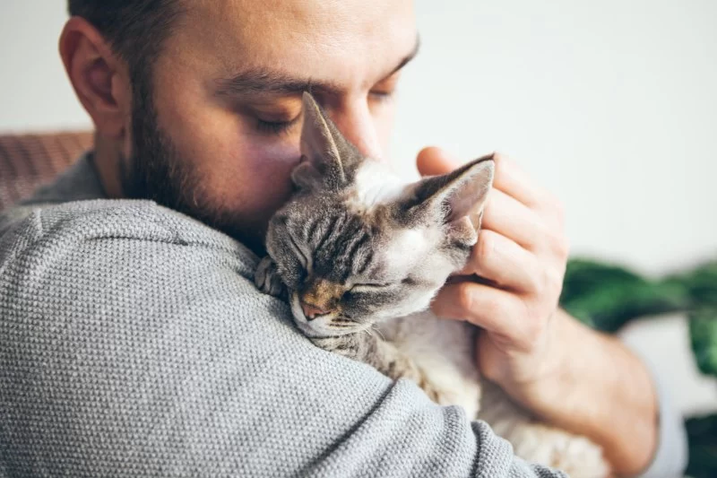 Pet Therapy: The Comforting Presence of Animals