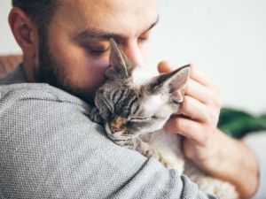 Pet Therapy: The Comforting Presence of Animals