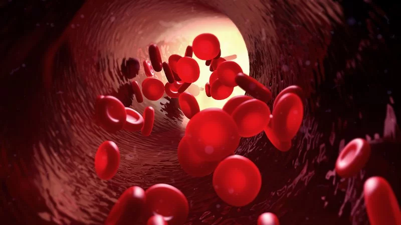 The Role of Vitamin B12 in Red Blood Cell and Heart Function | HeartCare Hub
