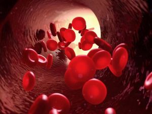 The Role of Vitamin B12 in Red Blood Cell and Heart Function | HeartCare Hub