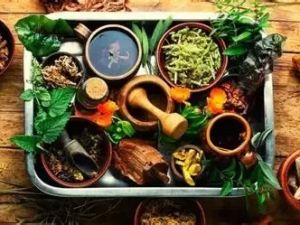 How to Manage Blood Pressure Naturally With Herbs: Top Tips and Benefits