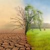 The Impact of Climate Change on Heart Health: A Growing Concern