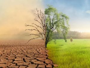 The Impact of Climate Change on Heart Health: A Growing Concern
