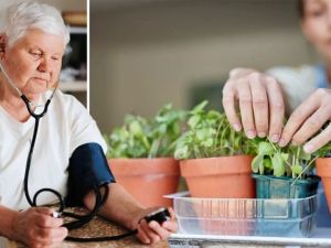 How to Manage Hypertension Naturally with Herbs and Lifestyle Changes