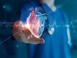 The Link Between Chronic Fatigue and Cardiovascular Health – Understanding the Connection for a Healthier Heart