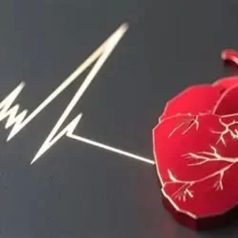 The Role of Electrolytes in Regulating Heartbeat – Importance for Heart Health