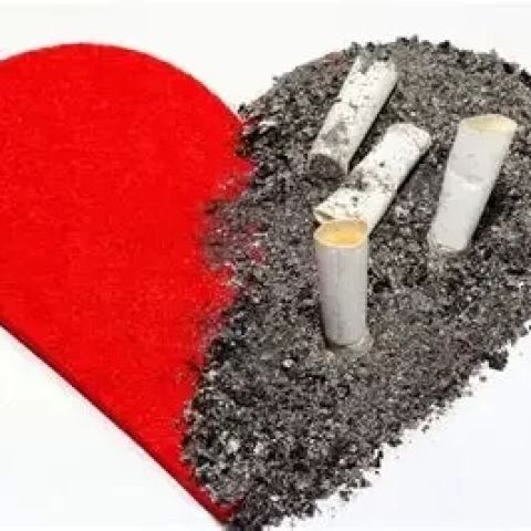 Heart Health for Smokers: Is It Ever Too Late to Quit?
