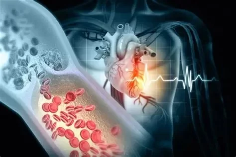 How to Recognize Early Heart Disease in Diabetic Patients: Symptoms and Preventative Steps