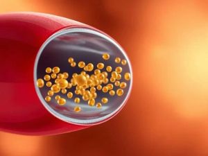 The Best Nutrients for Strengthening Blood Vessels Naturally