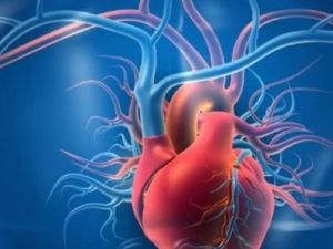 What the “Ejection Fraction” Number Really Means